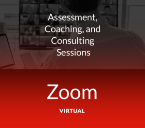 Assessment, Coaching, and Consulting Sessions via Zoom - Virtual